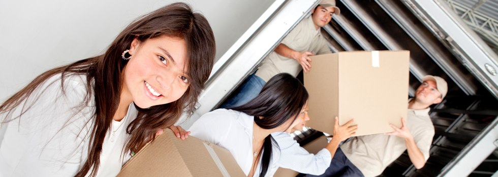 Professional Removalists Tolland